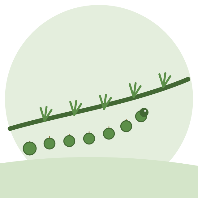 Illustration Autres nuisibles