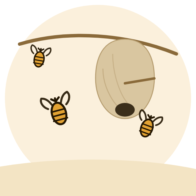 Illustration Guêpes & frelons