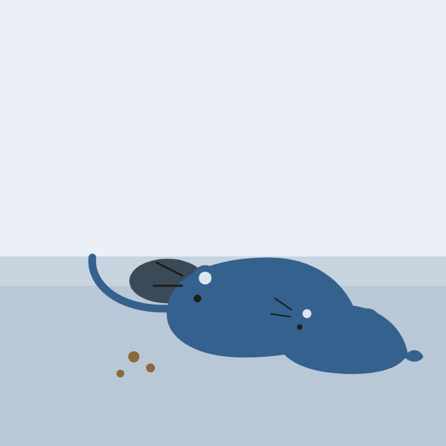 Illustration Dératisation