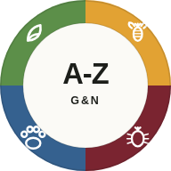 A-Z Guêpes & Nuisibles — chenilles, guêpes, rongeurs, punaises